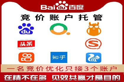 专业sem托管服务案例，揭秘广告投放优化策略